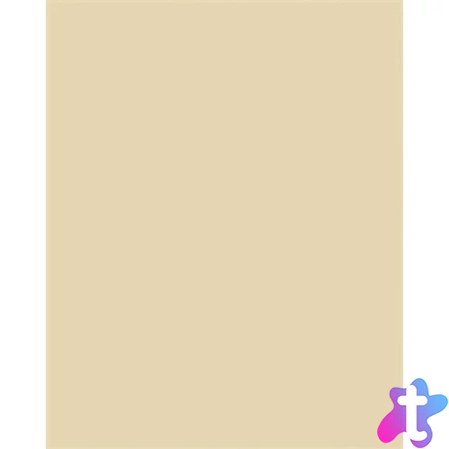 Dekorkarton, 2 oldalas, A4, 220 g, 100 lap, FOLIA, chamois