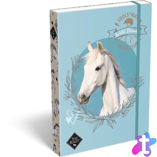 Füzetbox, A4, LIZZYSULI, "Wild Beauty, Sport Club"
