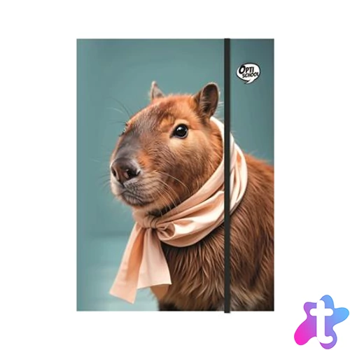 Gumis mappa, karton, A4, OPTISCHOOL "Capybara"