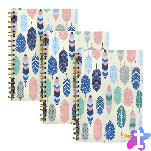 Spirálfüzet, B5, vonalas, 80 lap, FSC, PUKKA PAD "Carpe Diem", toll minta