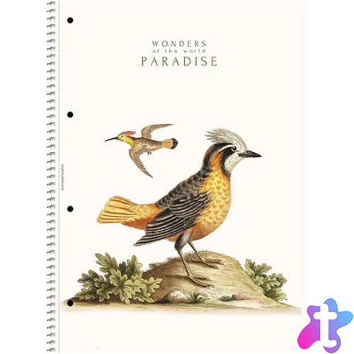 Spirálfüzet, A4, vonalas, 80 lap, SHOLYARYK "College Block Wonders", vegyes