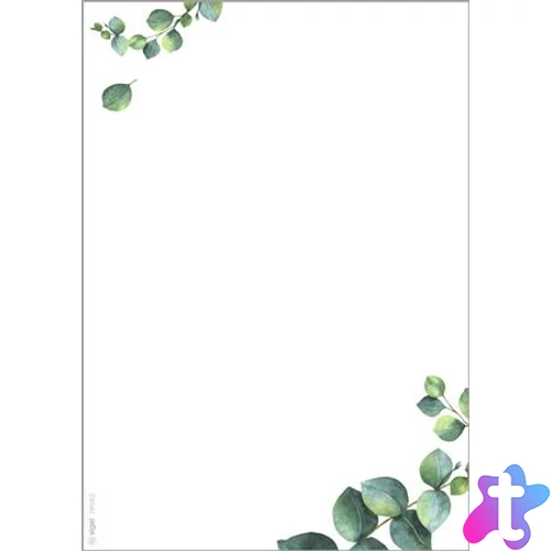 Előnyomott papír, kétoldalas, A5, 90 g. SIGEL "Eucalyptus"