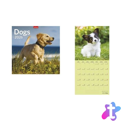 Naptár, fali, TOPTIMER, "Dogs"