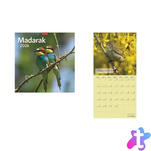 Naptár, fali, TOPTIMER "Madarak"