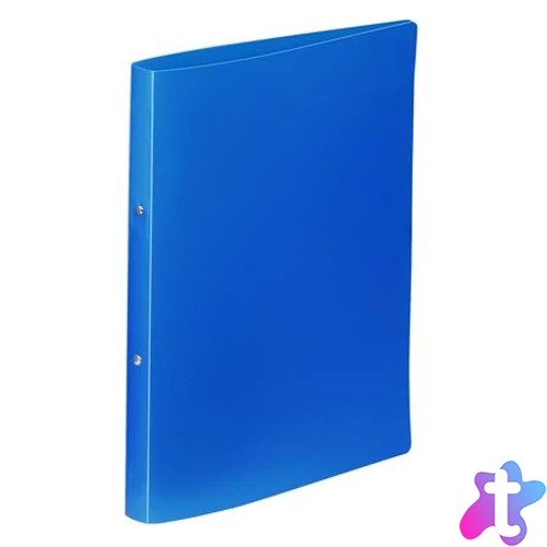 Gyűrűs könyv, 2 gyűrű, 25 mm, A4, PP, VIQUEL "Essentiel", kék