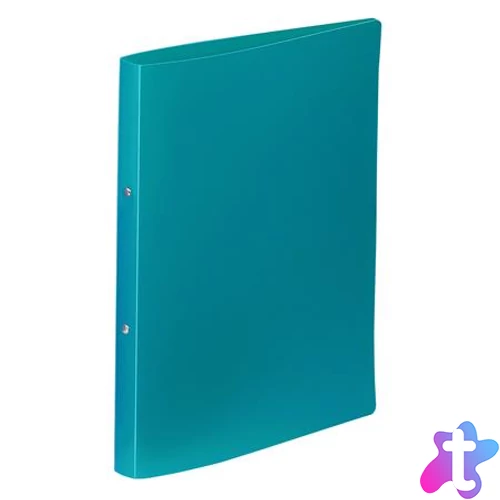 Gyűrűs könyv, 2 gyűrű, 25 mm, A4, PP, VIQUEL "Essentiel", zöld