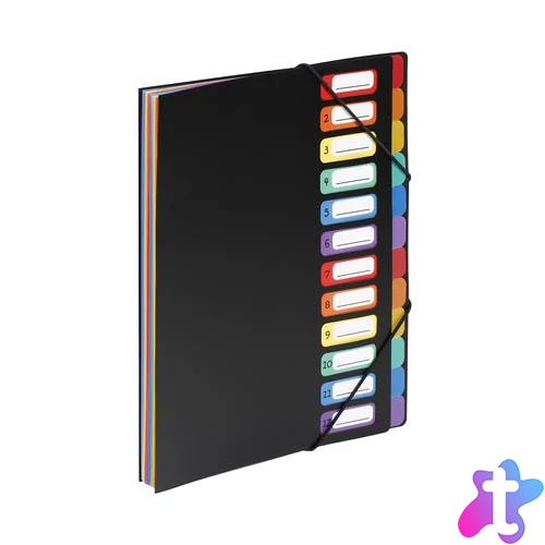 Irattartó mappa, gumis, 12 részes, VIQUEL "Rainbow Class", fekete