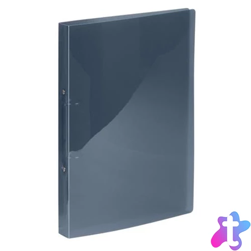 Gyűrűs könyv, 2 gyűrű, 25 mm, A4, PP, VIQUEL "Propyglass", füstszínű