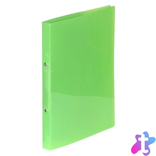 Gyűrűs könyv, 2 gyűrű, 20 mm, A4, PP, VIQUEL "Propyglass", zöld