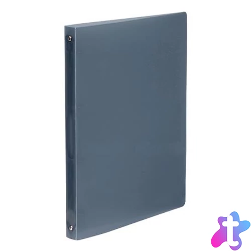 Gyűrűs könyv, 4 gyűrű, 25 mm, A4, PP, VIQUEL "Propyglass", füstszínű