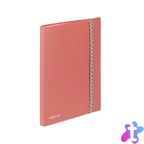 Bemutatómappa, 30 zsebes, A4, VIQUEL "Business Class", korall