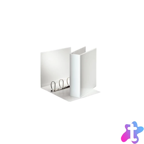 Gyűrűskönyv panorámás A4, 8,6cm, 4 gyűrű, D alakú, PP Esselte fehér