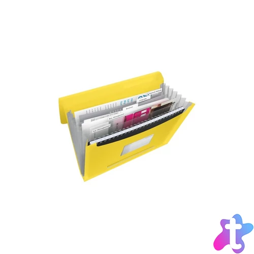 Irattartó mappa, harmonikamappa, A4, PP 6 rekeszes Esselte Vivida sárga