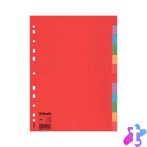 Regiszter A4, 12 részes karton Esselte Economy színes