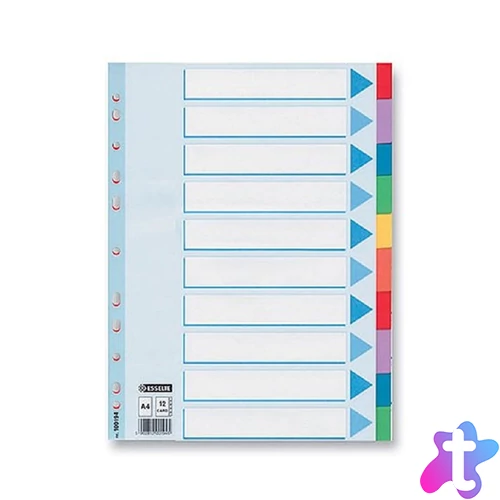 Regiszter műanyag A4, Maxi 10 részes Esselte