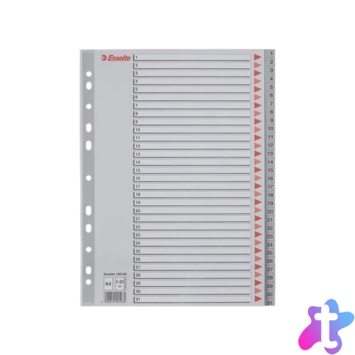 Regiszter A4, 1-31 műanyag Esselte szürke