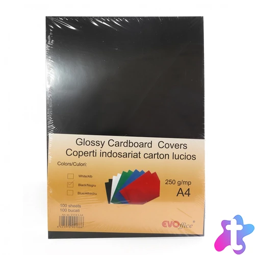 Hátlap, A4, 250 g. fényes 100 db/csomag, Evo fekete