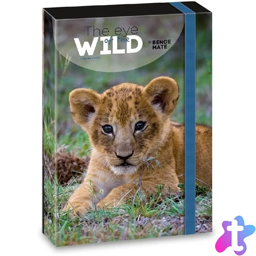 Ars Una The eyes of the wild lion 5216 A4 füzetbox