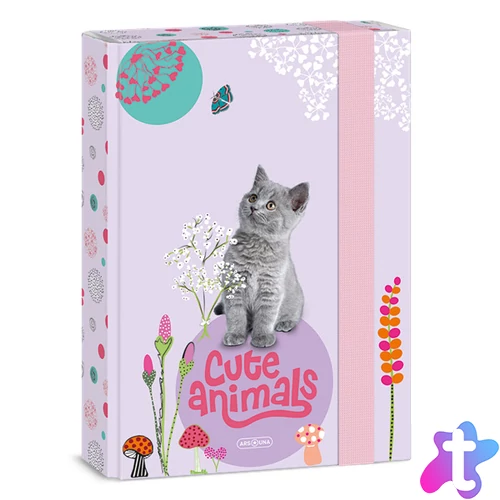 Ars Una Cute Animals-Kitten 24 (5368) A5 füzetbox