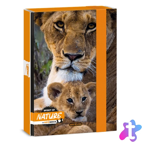 Ars Una Máté Bence-Lion 24 (5433) A5 füzetbox