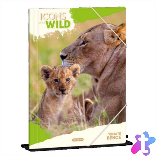 Ars Una Icons of the Wild-Lions 25 (5504) A4 gumis mappa