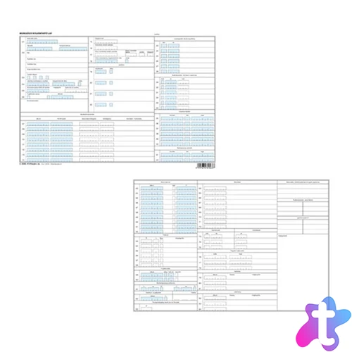 C.0243-41/F/TAS A4 fekvő "Munkaügyi nyilvántartó tasak" nyomtatvány