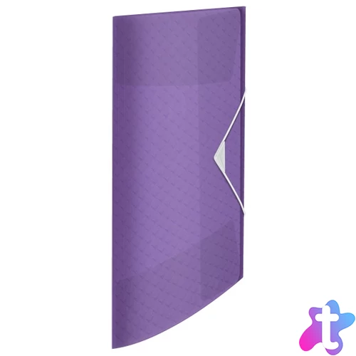 Esselte ColourBreeze PP levendula gumis mappa