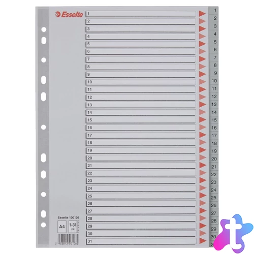 Esselte A4  1-31 műanyag regiszter