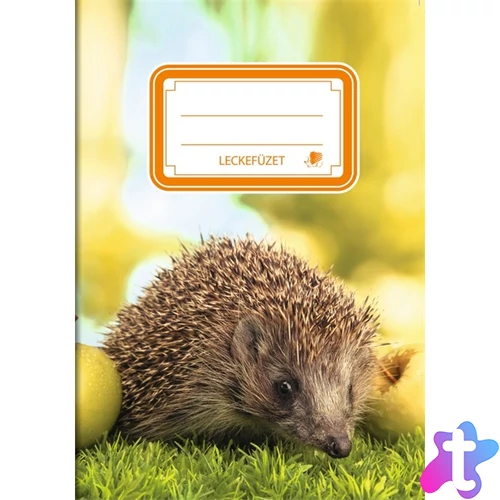 ICO Süni sünis A5 leckefüzet