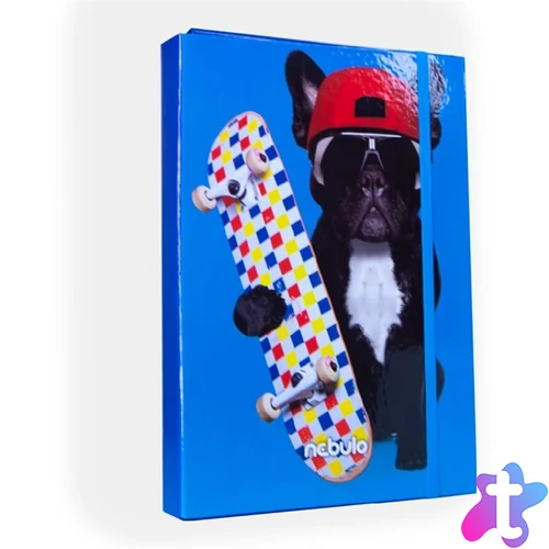 Nebulo Deszkás bulldog A4 füzetbox