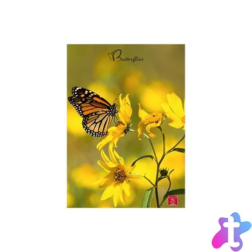 Pigna Butterflies A4 42 lap, tűzött, kockás füzet
