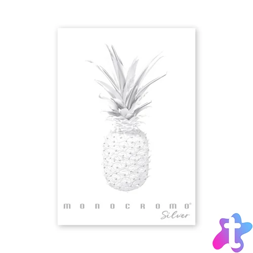 Pigna Monocromo Silver A4 38 lap, tűzött, vonalas füzet