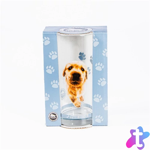 Üditős pohár, Golden Retriever