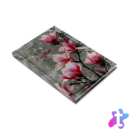 Realsystem Picture 5601-60 B5 magnólia napló