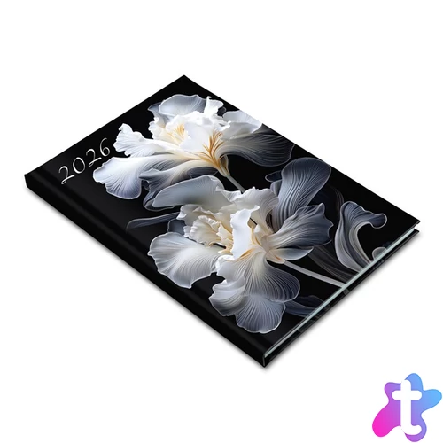 Realsystem 2026 Picture 5611-60 írisz B5 heti beosztású határidőnapló