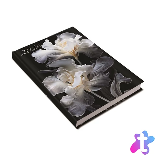 Realsystem 2026 Picture 5321-60 írisz A5 napi beosztású határidőnapló