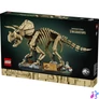 Kép 2/7 - LEGO® Jurassic World Dinoszaurusz maradványok 77985