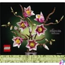 Kép 4/7 - LEGO® Botanicals Magnóliaágak, virágdekoráció 11510