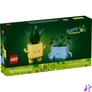 Kép 1/7 - LEGO® Botanicals Mosolygós növények, polcdekoráció 10349