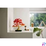Kép 6/7 - LEGO® Botanicals Vöröslevelű japán juhar bonsai, növénydekoráció 10348