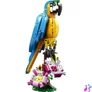 Kép 7/7 - LEGO® Creator Egzotikus papagáj 31136