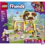 Kép 3/7 - LEGO® Friends Kisállatfelszerelések boltja, játék építőkészlet 42650