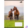 Kép 1/2 - Füzet, tűzött, A5, vonalas, 32 lap, 1. osztály, COOL BY VICTORIA "Free Spirit", "14-32"