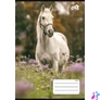 Kép 2/2 - Füzet, tűzött, A5, vonalas, 32 lap, 1. osztály, COOL BY VICTORIA "Free Spirit", "14-32"