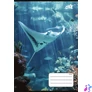 Kép 2/2 - Füzet, tűzött, A5, kockás, 32 lap, COOL BY VICTORIA "Ocean World", "27-32"