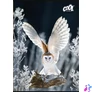 Kép 1/2 - Füzet, tűzött, A4, sima, 80 lap, COOL BY VICTORIA "Wise Wings"