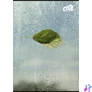 Kép 2/2 - Füzet, tűzött, A4, sima, 80 lap, COOL BY VICTORIA "Green Calm"