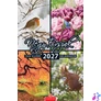 Kép 1/5 - Naptár, fali, CSG, "Négy évszak"