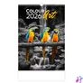 Kép 1/2 - Naptár, fali, DAYLINER "Colour Art"