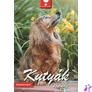 Kép 1/2 - Naptár, fali, DAYLINER, "Kutyák"